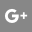 Google+ icon