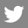 Twitter icon